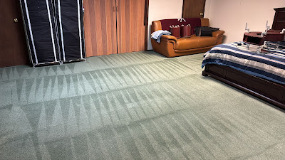 How to choose the right professional carpet cleaning company