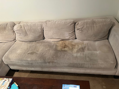 Benefits of hiring a professional stain removal service