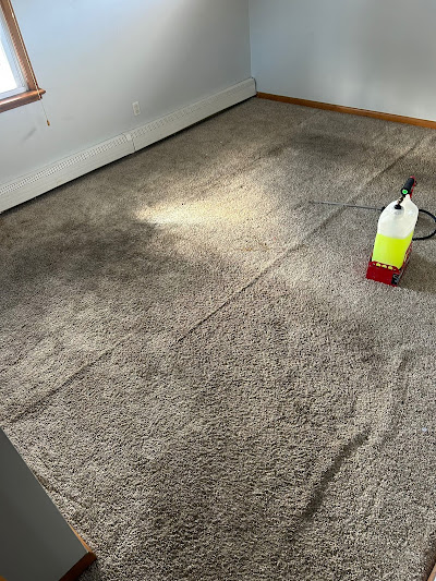 Tips for maintaining a stain-free environment