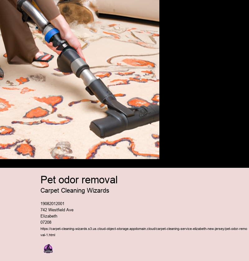 Pet odor removal