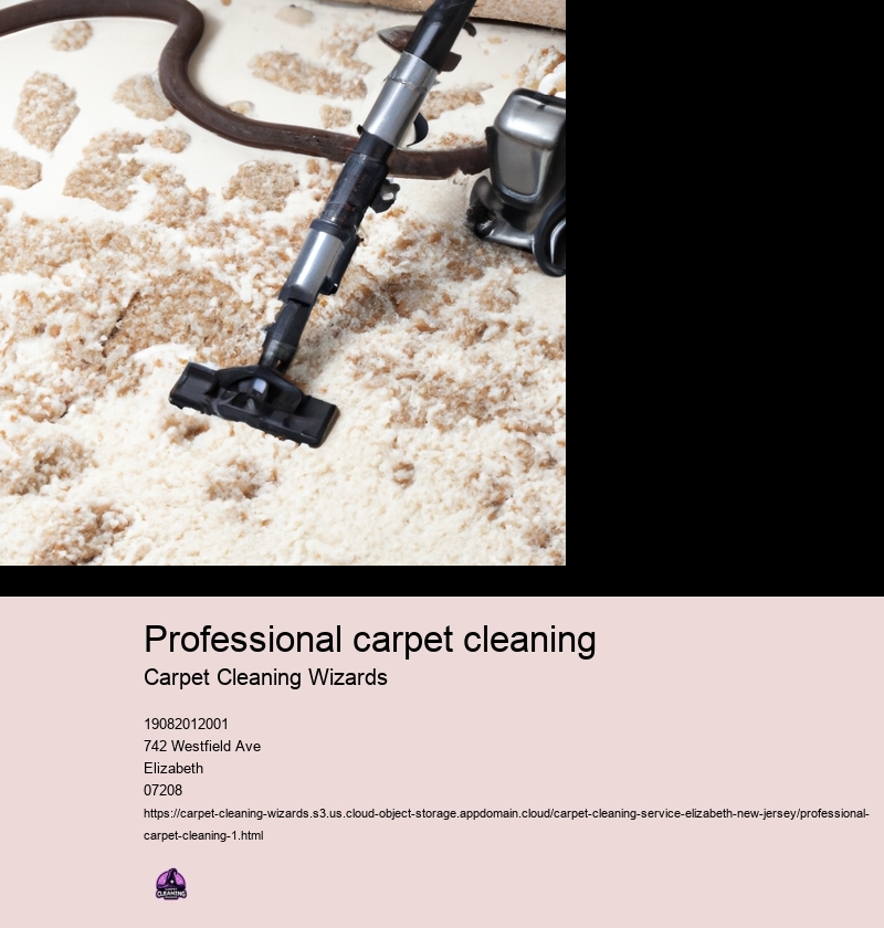 Professional carpet cleaning