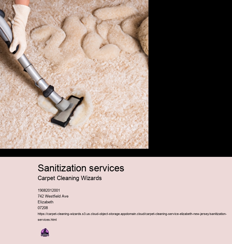 Sanitization services